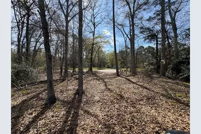 738 Old Mineral Springs, Elberton, GA 30635 - Photo 4