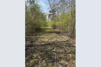 738 Old Mineral Springs, Elberton, GA 30635 - Photo 28