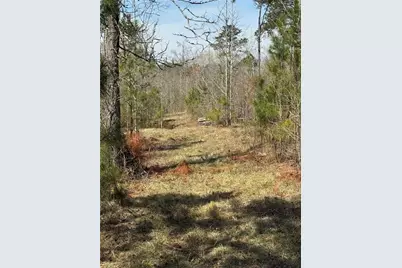 738 Old Mineral Springs, Elberton, GA 30635 - Photo 26