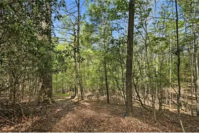 0 Mill Trace Court, Cleveland, GA 30528 - Photo 14