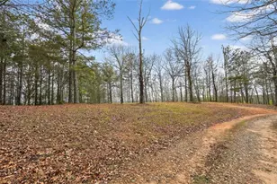 115 Rabbit Run, Dawsonville, GA 30534 - Photo 44