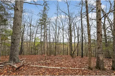 115 Rabbit Run, Dawsonville, GA 30534 - Photo 46