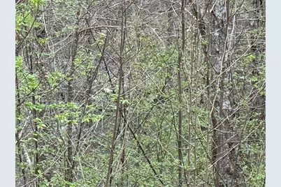 135 Flat Ridge Road, Ellijay, GA 30540 - Photo 6