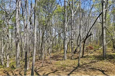 3102 Flatbottom Road, Ball Ground, GA 30107 - Photo 8