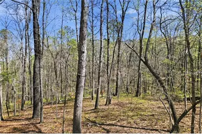 3102 Flatbottom Road, Ball Ground, GA 30107 - Photo 6