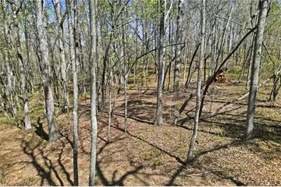 3094 Flatbottom Road, Ball Ground, GA 30107 - Photo 1