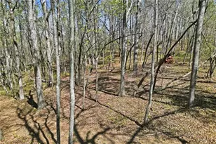 3094 Flatbottom Rd, Ball Ground, GA 30107 - Photo 1