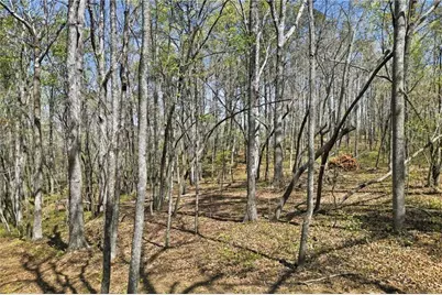 3094 Flatbottom Road, Ball Ground, GA 30107 - Photo 8