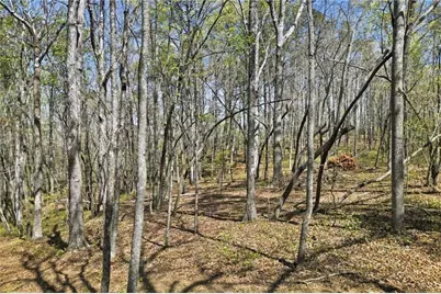 109 Heritage Plantation Drive, Ball Ground, GA 30107 - Photo 6