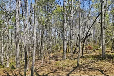109 Heritage Plantation Drive, Ball Ground, GA 30107 - Photo 6