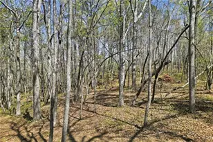 117 Heritage Plantation Dr, Ball Ground, GA 30107 - Photo 1