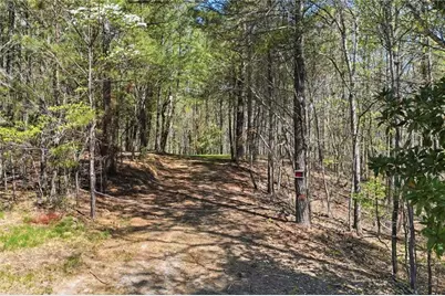 121 Heritage Plantation Drive, Ball Ground, GA 30107 - Photo 8