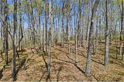 121 Heritage Plantation Drive, Ball Ground, GA 30107 - Photo 12