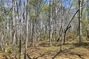 125 Heritage Plantation Dr, Ball Ground, GA 30107 - Photo 1