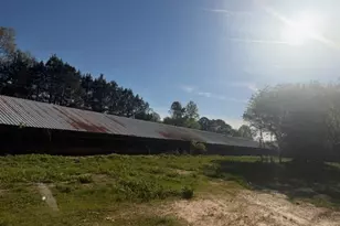 257 Stancil Rd, Ball Ground, GA 30107 - Photo 24