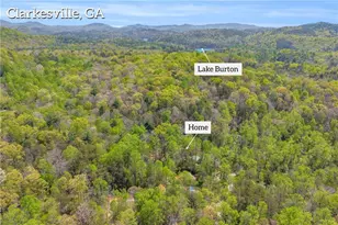 294 Brookwood Ln, Clarkesville, GA 30523 - Photo 60