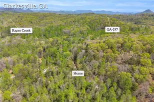 294 Brookwood Ln, Clarkesville, GA 30523 - Photo 56