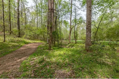 7350 Ono Road, Palmetto, GA 30268 - Photo 76
