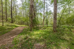 7350 Ono Rd, Palmetto, GA 30268 - Photo 76