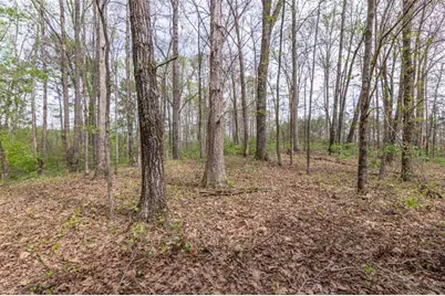 7350 Ono Road, Palmetto, GA 30268 - Photo 80