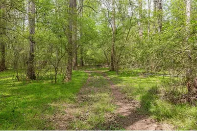 7350 Ono Road, Palmetto, GA 30268 - Photo 78