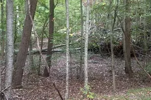 1145 Embry Ct, Ranger, GA 30734 - Photo 8