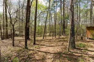 401 Blossom Trl, Acworth, GA 30101 - Photo 74