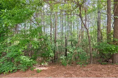 138 Bellehaven Drive, Woodstock, GA 30188 - Photo 38