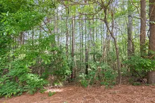 138 Bellehaven Dr, Woodstock, GA 30188 - Photo 38