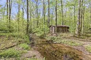 257 Foot Hills Dr, Cleveland, GA 30528 - Photo 56