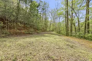 257 Foot Hills Dr, Cleveland, GA 30528 - Photo 52