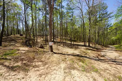 1600 Sperin Road, Ball Ground, GA 30107 - Photo 16