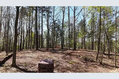 1600 Sperin Road, Ball Ground, GA 30107 - Photo 52