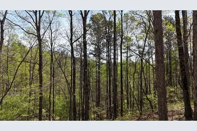 1600 Sperin Road, Ball Ground, GA 30107 - Photo 38