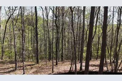 1600 Sperin Road, Ball Ground, GA 30107 - Photo 40