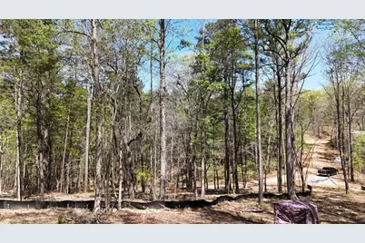 1600 Sperin Road, Ball Ground, GA 30107 - Photo 44
