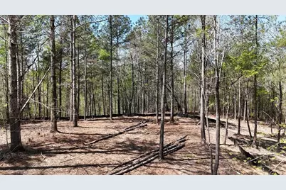 1600 Sperin Road, Ball Ground, GA 30107 - Photo 48