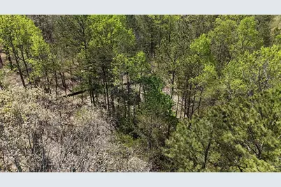 1600 Sperin Road, Ball Ground, GA 30107 - Photo 54