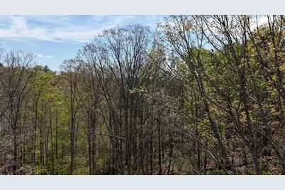 1600 Sperin Road, Ball Ground, GA 30107 - Photo 56