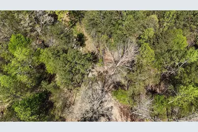 1600 Sperin Road, Ball Ground, GA 30107 - Photo 58