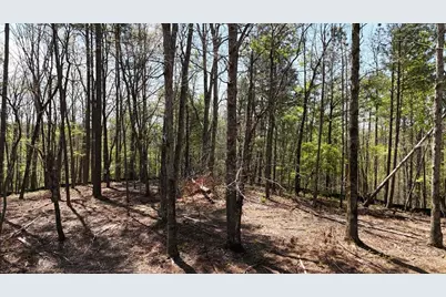 1600 Sperin Road, Ball Ground, GA 30107 - Photo 46