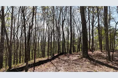 1600 Sperin Road, Ball Ground, GA 30107 - Photo 50