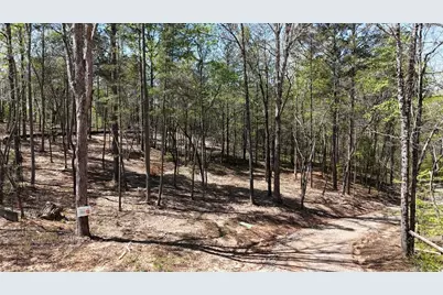 1600 Sperin Road, Ball Ground, GA 30107 - Photo 62