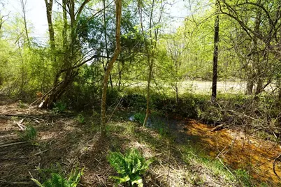 1600 Sperin Road, Ball Ground, GA 30107 - Photo 10