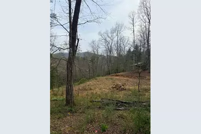 0 Holly Drive, Blairsville, GA 30512 - Photo 4