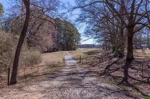 605 Rowe Rd, Senoia, GA 30276 - Photo 90