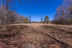 605 Rowe Rd, Senoia, GA 30276 - Photo 88