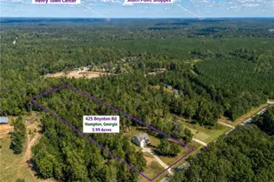 425 Boynton Rd, Hampton, GA 30228 - Photo 8