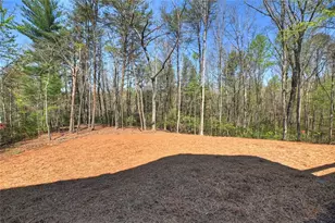 375 Seneca Dr, Ellijay, GA 30540 - Photo 48