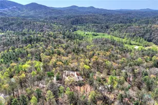 375 Seneca Dr, Ellijay, GA 30540 - Photo 58